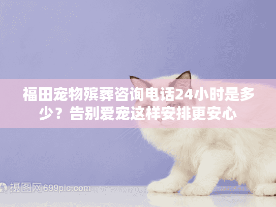 福田宠物殡葬咨询电话24小时是多少？告别爱宠这样安排更安心