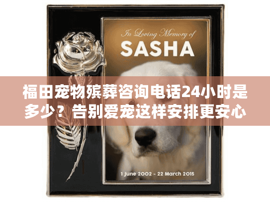 福田宠物殡葬咨询电话24小时是多少？告别爱宠这样安排更安心