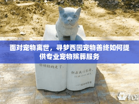面对宠物离世，寻梦西园宠物善终如何提供专业宠物殡葬服务