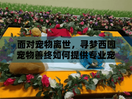 面对宠物离世，寻梦西园宠物善终如何提供专业宠物殡葬服务