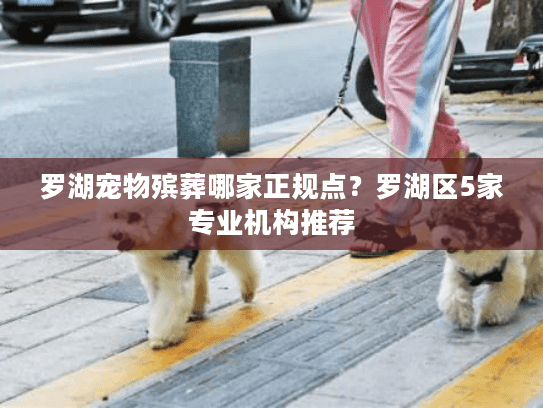 罗湖宠物殡葬哪家正规点？罗湖区5家专业机构推荐