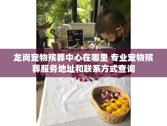 龙岗宠物殡葬中心在哪里 专业宠物殡葬服务地址和联系方式查询
