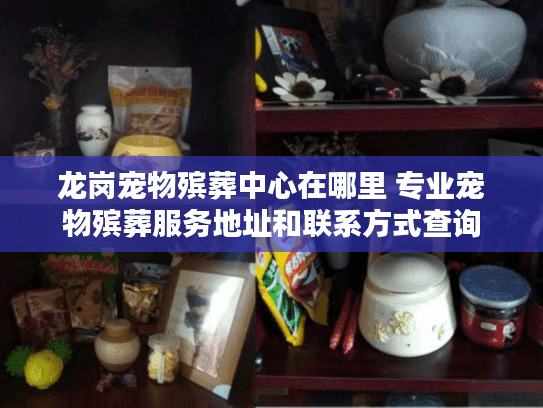 龙岗宠物殡葬中心在哪里 专业宠物殡葬服务地址和联系方式查询