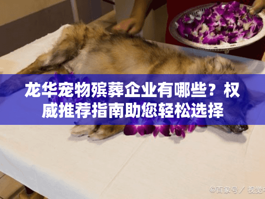 龙华宠物殡葬企业有哪些？权威推荐指南助您轻松选择
