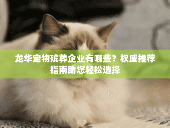 龙华宠物殡葬企业有哪些？权威推荐指南助您轻松选择
