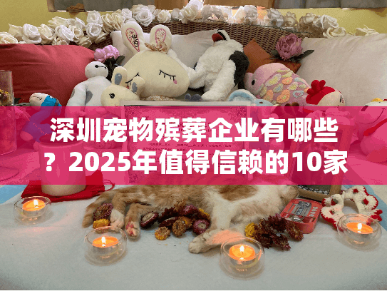 深圳宠物殡葬企业有哪些？2025年值得信赖的10家机构完整清单