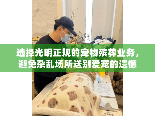 选择光明正规的宠物殡葬业务，避免杂乱场所送别爱宠的遗憾