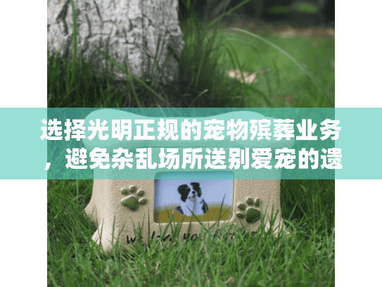 选择光明正规的宠物殡葬业务，避免杂乱场所送别爱宠的遗憾