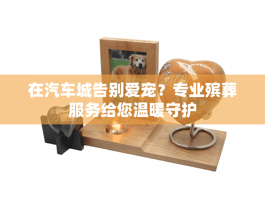 在汽车城告别爱宠？专业殡葬服务给您温暖守护