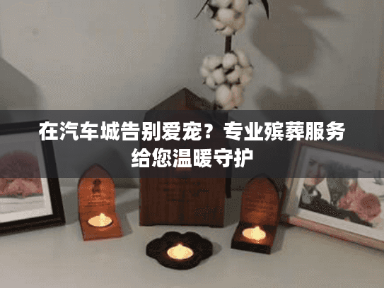 在汽车城告别爱宠？专业殡葬服务给您温暖守护