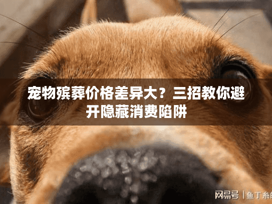 宠物殡葬价格差异大？三招教你避开隐藏消费陷阱
