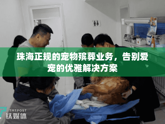 珠海正规的宠物殡葬业务，告别爱宠的优雅解决方案