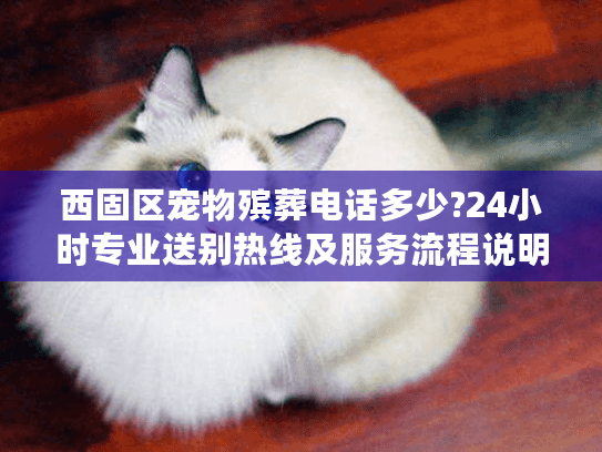 西固区宠物殡葬电话多少?24小时专业送别热线及服务流程说明