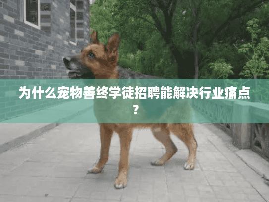 为什么宠物善终学徒招聘能解决行业痛点？