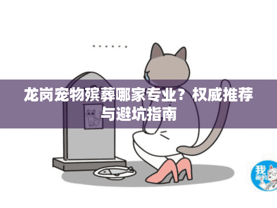 龙岗宠物殡葬哪家专业？权威推荐与避坑指南