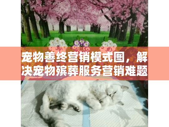 宠物善终营销模式图，解决宠物殡葬服务营销难题的完整指南
