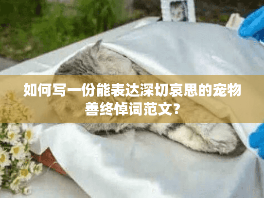 如何写一份能表达深切哀思的宠物善终悼词范文？