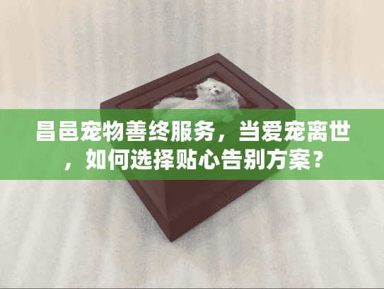 昌邑宠物善终服务，当爱宠离世，如何选择贴心告别方案？