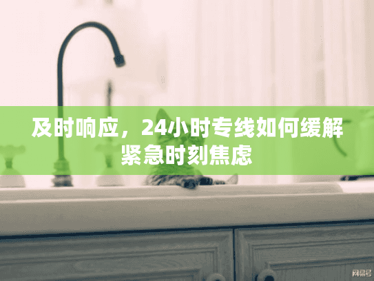 及时响应，24小时专线如何缓解紧急时刻焦虑