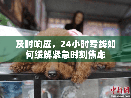 及时响应，24小时专线如何缓解紧急时刻焦虑
