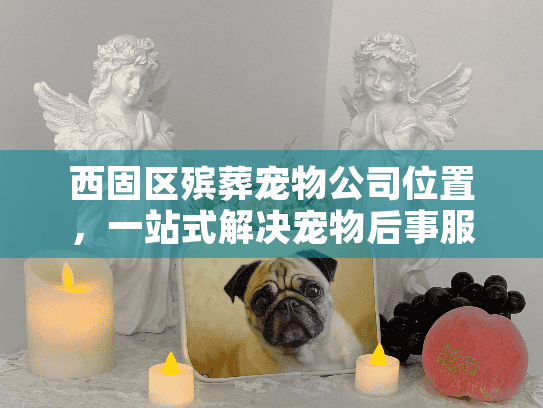 西固区殡葬宠物公司位置，一站式解决宠物后事服务难题