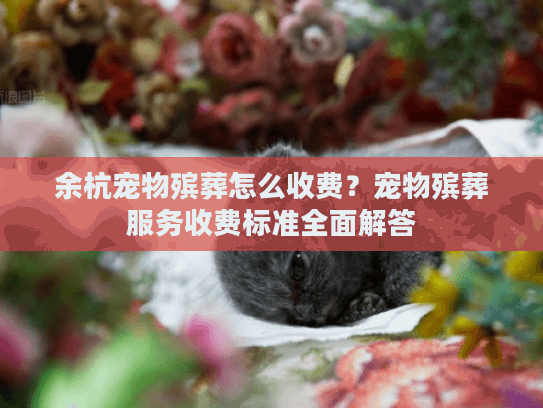 余杭宠物殡葬怎么收费？宠物殡葬服务收费标准全面解答