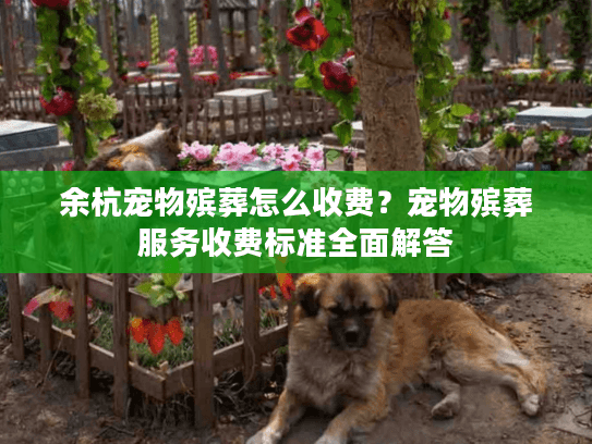 余杭宠物殡葬怎么收费?宠物殡葬服务收费标准全面解答