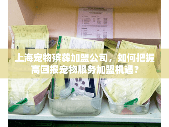 上海宠物殡葬加盟公司，如何把握高回报宠物服务加盟机遇？