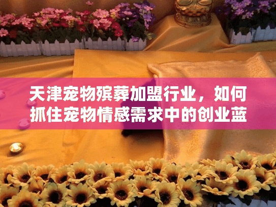 天津宠物殡葬加盟行业，如何抓住宠物情感需求中的创业蓝海？