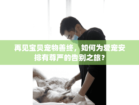 再见宝贝宠物善终，如何为爱宠安排有尊严的告别之旅？