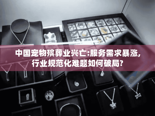 中国宠物殡葬业兴亡:服务需求暴涨,行业规范化难题如何破局?