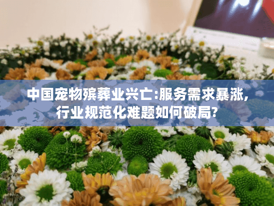 中国宠物殡葬业兴亡:服务需求暴涨,行业规范化难题如何破局?