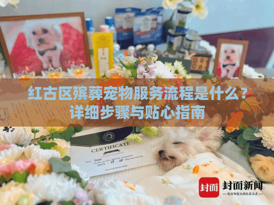 红古区殡葬宠物服务流程是什么？详细步骤与贴心指南