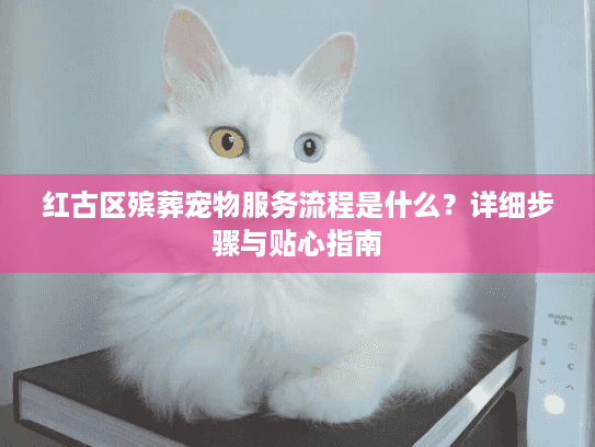 红古区殡葬宠物服务流程是什么？详细步骤与贴心指南