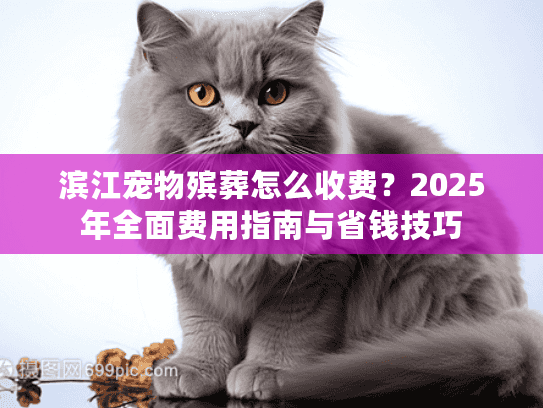 滨江宠物殡葬怎么收费？2025年全面费用指南与省钱技巧