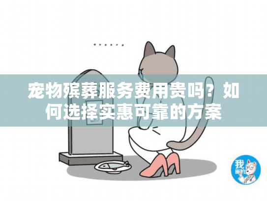 宠物殡葬服务费用贵吗？如何选择实惠可靠的方案