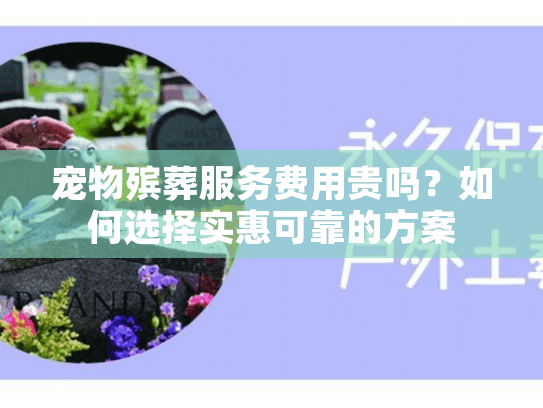 宠物殡葬服务费用贵吗？如何选择实惠可靠的方案