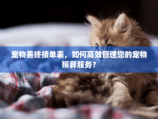 宠物善终接单表，如何高效管理您的宠物殡葬服务？