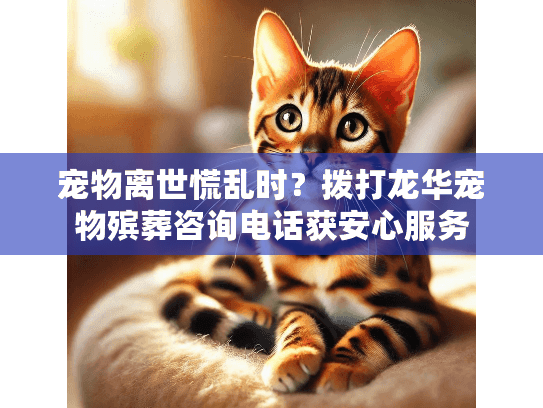 宠物离世慌乱时？拨打龙华宠物殡葬咨询电话获安心服务