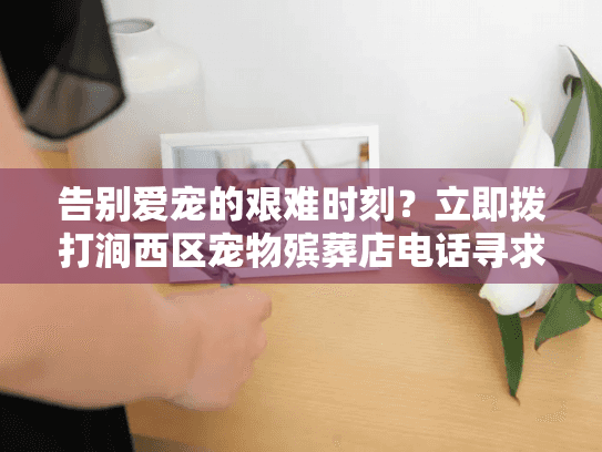 告别爱宠的艰难时刻？立即拨打涧西区宠物殡葬店电话寻求帮助
