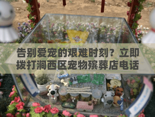 告别爱宠的艰难时刻？立即拨打涧西区宠物殡葬店电话寻求帮助