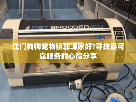江门狗狗宠物殡葬哪家好?寻找最可靠服务的心得分享