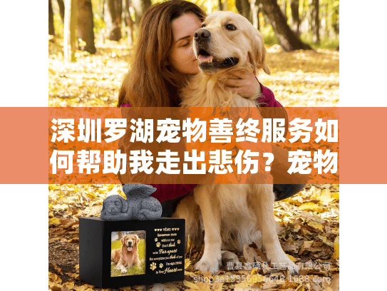 深圳罗湖宠物善终服务如何帮助我走出悲伤？宠物火化安葬全流程解析