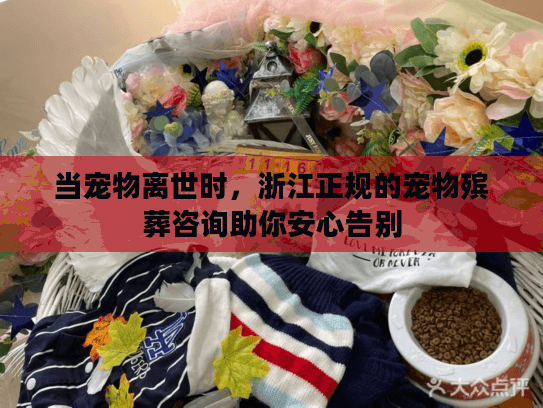当宠物离世时，浙江正规的宠物殡葬咨询助你安心告别