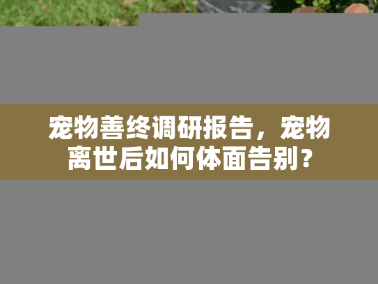 宠物善终调研报告,宠物离世后如何体面告别?
