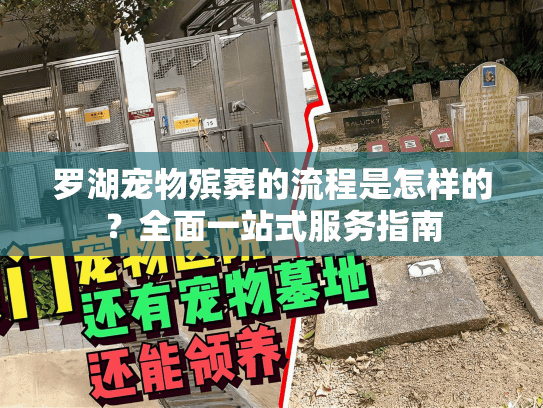 罗湖宠物殡葬的流程是怎样的？全面一站式服务指南