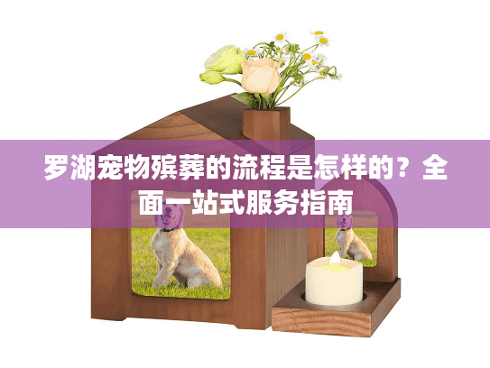 罗湖宠物殡葬的流程是怎样的？全面一站式服务指南