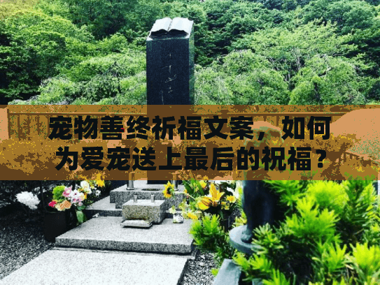 宠物善终祈福文案，如何为爱宠送上最后的祝福？