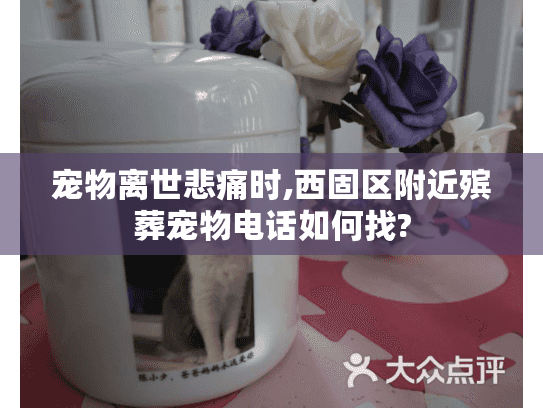 宠物离世悲痛时,西固区附近殡葬宠物电话如何找?
