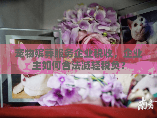 宠物殡葬服务企业税收，企业主如何合法减轻税负？